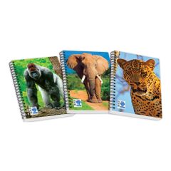 ΠΣ-P/P SPORTS-WILD LIFE Α4 [2Θ] Σ.160 Ν.242...