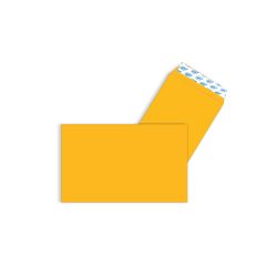 ΦΑΚΕΛΑ ΣΑΚ. ΑΥΤ. ΚΡΑΦΤ 190Χ260 Νο54