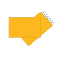 ΦΑΚΕΛΑ ΣΑΚ. ΑΥΤ. ΚΡΑΦΤ 310Χ410 Νο59