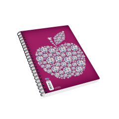 ΠΣ-ΤΕΤΡ.ΣΠΙΡΑΛ "ΚΟΣΜΗΜΑΤΩΝ" 17Χ25 2Θ ΜΗΛΟ ...