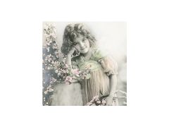 SAGEN ΧΑΡΤΟΠΕΤΣΕΤΕΣ DECOUPAGE Ν.2088