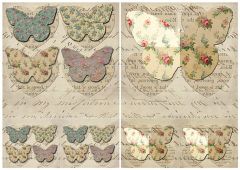 ΡΙΖΟΧΑΡΤΟ Α3 - ΠΕΤΑΛΟΥΔΕΣ Ν.6