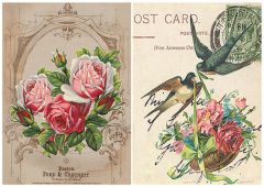 ΡΙΖΟΧΑΡΤΟ Α3 - ΧΕΛΙΔΟΝΙΑ/ΛΟΥΛΟΥΔΙΑ Ν.10