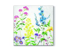 ΧΑΡΤ.PAW - SDL054500 ΣΤΟ ΚΗΠΟ ΜΟΥ