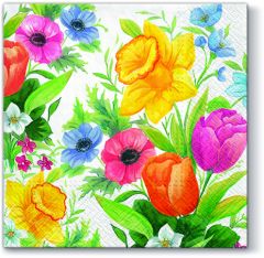 ΧΑΡΤ.PAW - SDL090300 ΑΝΟΙΞΙΑΤΙΚΟ ΛΕΙΒΑΔΙ