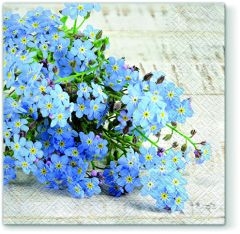 ΧΑΡΤ.PAW - SDL120108 ΜΗ ΜΕ ΞΕΧΝΑΣ