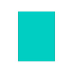 ΖΑΖΟΟ ΧΑΡΤ ΚΟΛΑΖ Α4 160ΓΡ. 250Φ. ΤΡΚΟΥΑΖ Ν1