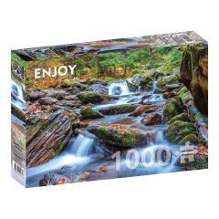 ENJOY -ΠΑΖΛ PLACES ΡΙΑΚΙ ΣΤΟ ΔΑΣΟΣ ΤΟ ΦΘΙΝΟΠΩΡΟ 1000 ΤΕΜ Νο 1281